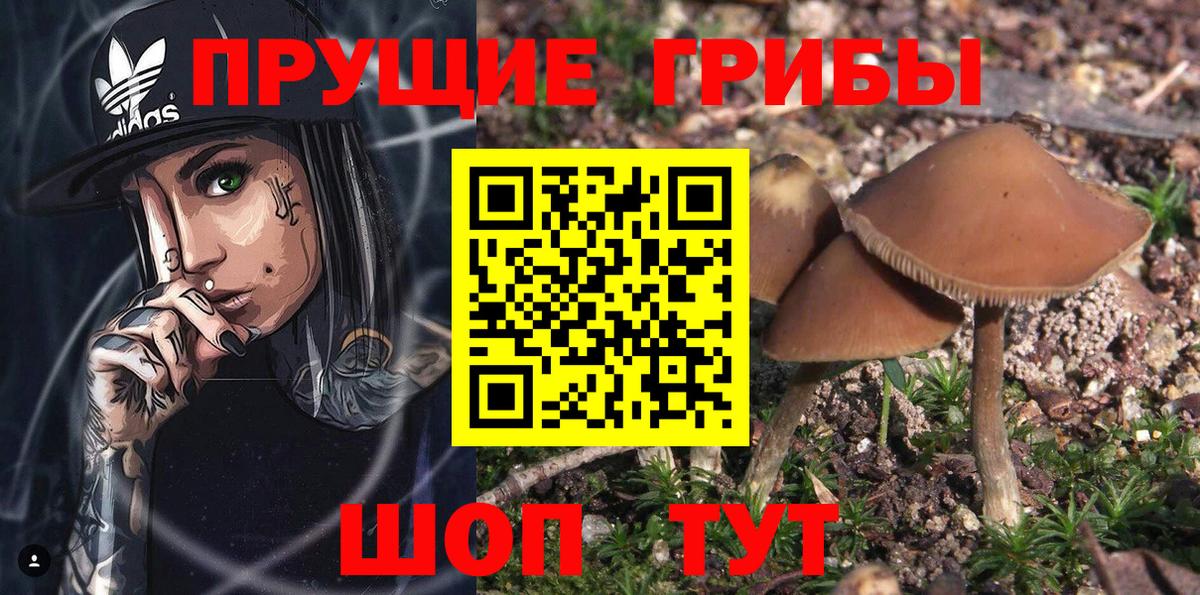 Галлюциногенные грибы мухоморы Коломна